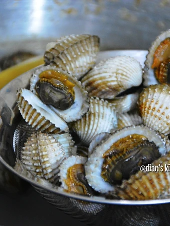 Cara Gampang Membuat Resep Kerang Dara Rebus yang Lezat Sekali Anti Ribet, Sempurna