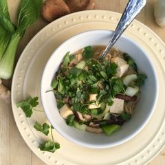 A picture of Bok Choy Noodles.