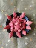 Strawberry shakkarpara