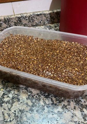 Una foto de Turrón de quaker (turrón turco en mi pueblo)