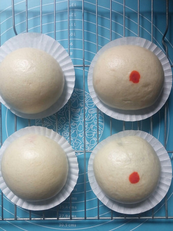 Anti Ribet, Membuat Bakpao Untuk Pemula