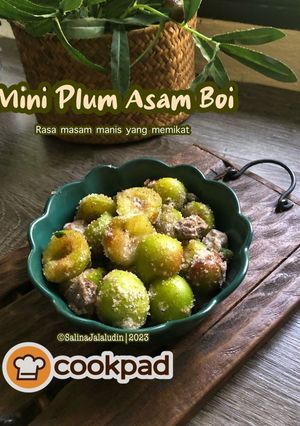 Gambar Mini Plum Asam Boi