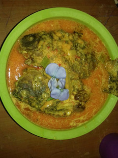 Foto resep Nila goreng kuah santan saos tomat