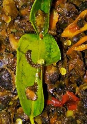 Foto resep Oseng Kerang Tude