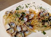 Una foto di vongole veraci
