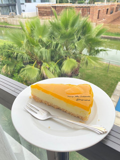 A picture of Mango Jelly Cheesecake.
