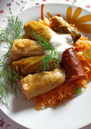 Ujjnyi, töltött káposzta recept fotója