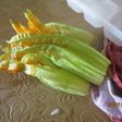 Fiori di zucca fritti