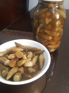 عکسی از دستور شوری بامیه
