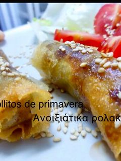 Φωτογραφία της συνταγής Ανοιξιάτικα ρολακια