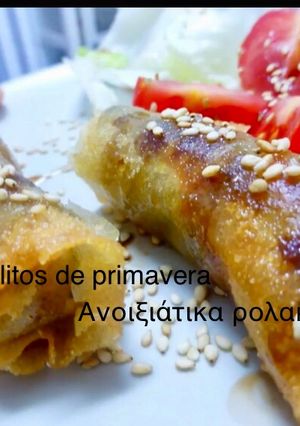 Φωτογραφία της συνταγής Ανοιξιάτικα ρολακια
