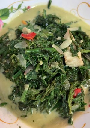 Foto resep Sayur Santan Pakis