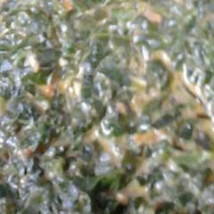 A picture of Managu special.