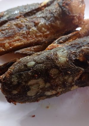 Foto resep Lele goreng (bumbu kuning praktis)