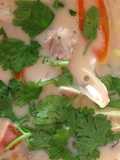 Tom Kha Gai (Thai Coconut Chicken Soup)