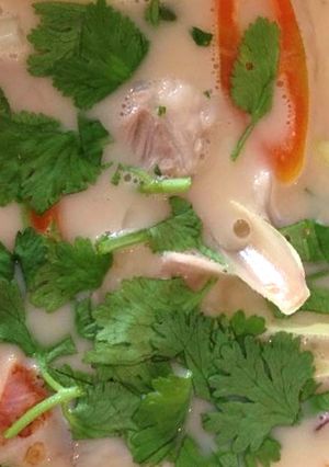รูปของ ต้มข่าไก่