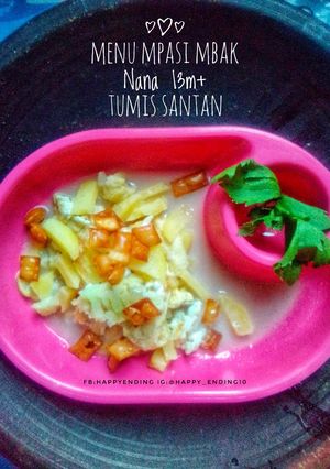 Foto resep Tumisan Santan(Menu Mpasi mbak Nana 13+)