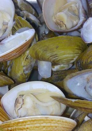 Hình của món Ngao hấp hành.