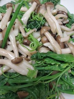 龍鬚菜炒鴻喜菇 的食譜成品照片