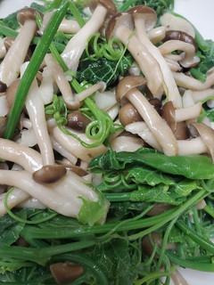 龍鬚菜炒鴻喜菇 的食譜成品照片