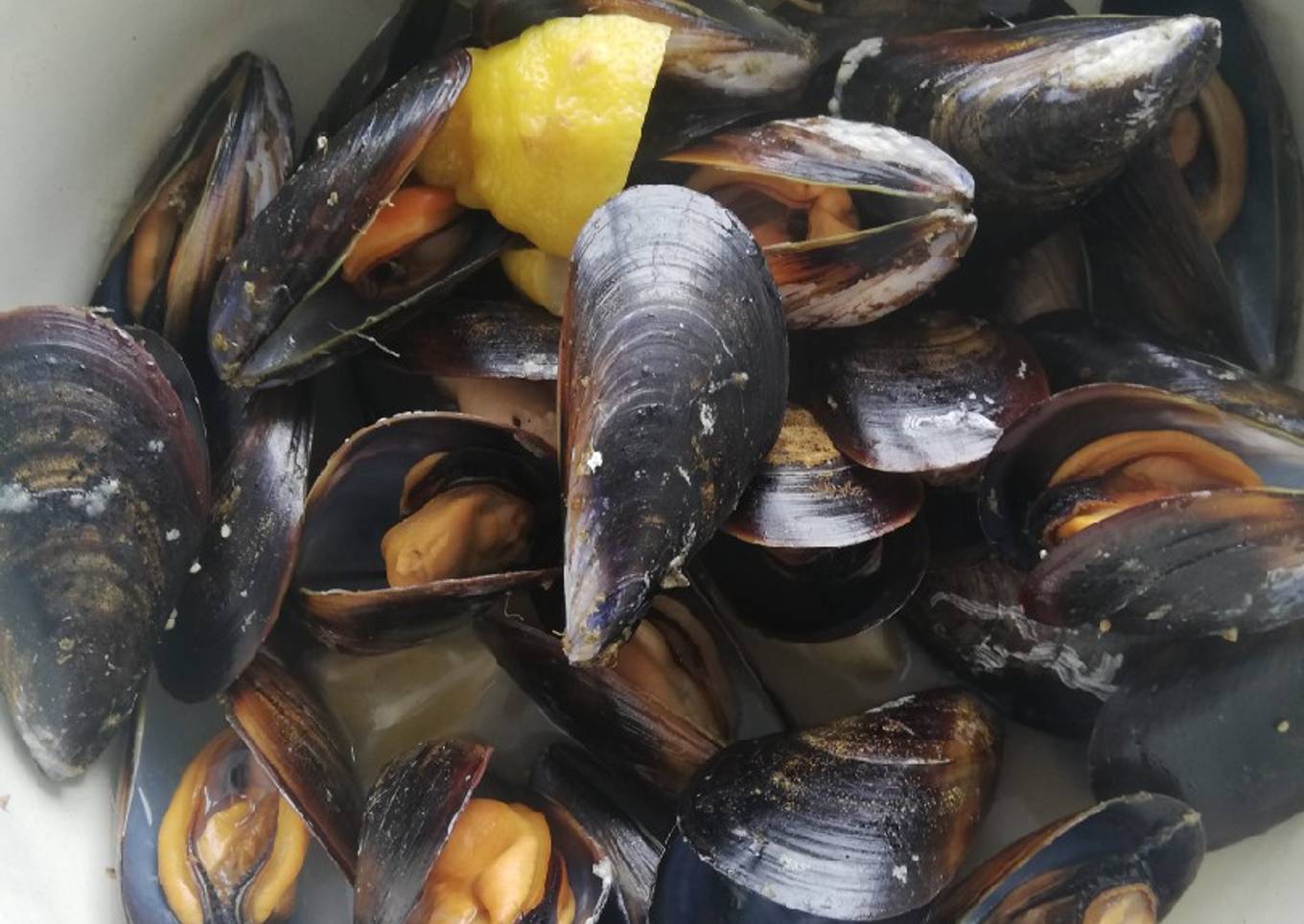Mejillones al vapor