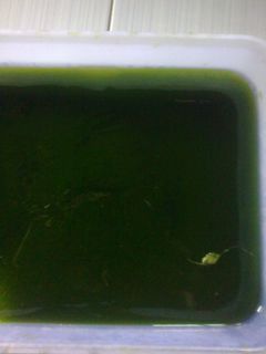 Foto resep Cincau sehat