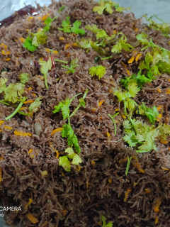 ஹெல்த்தி ராகி சேமியா(ragi semiya recipe in tamil) செய்முறை முக்கிய புகைப்படம்