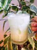 1055. Es Lumut Susu