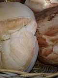 Galleta de campo