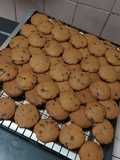 Chocochip Cookies