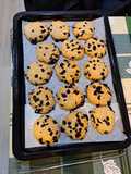 Oatmeal Chocolate Chip Cookies