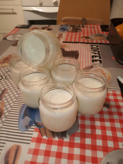 Foto principal de Yogures de coco caseros