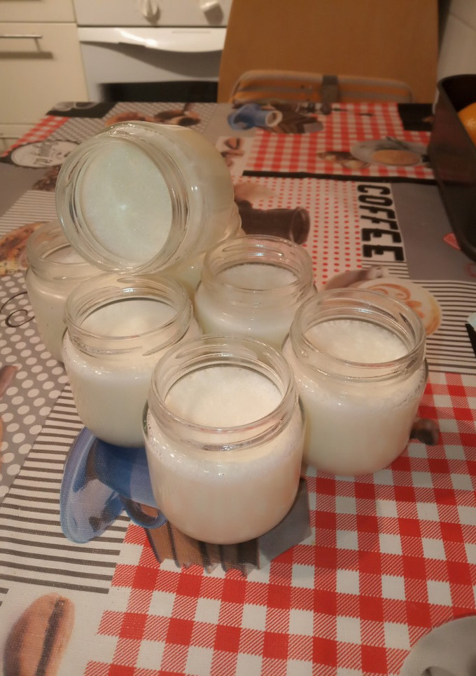 Una foto de Yogures de coco caseros