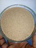 Ginger and Garlic powder