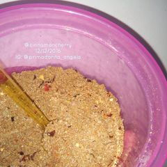 A picture of My Own Version of Homemade Rub.
