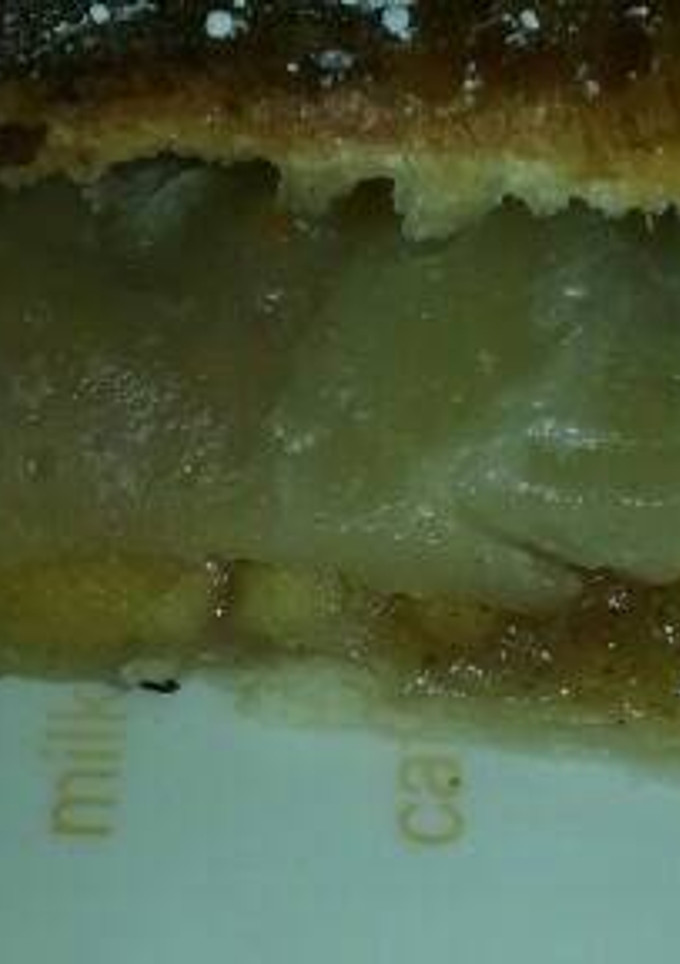 Una foto de Hojaldre de manzana y canela 😛