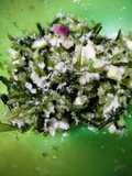 Latoh Urap Kelapa Parut