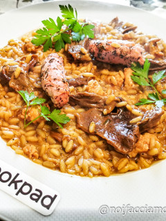 Foto di Risotto con Funghi Porcini e Salsiccia
