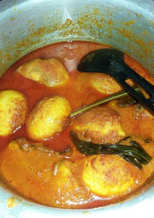 Foto resep Ayam dan telur kalio