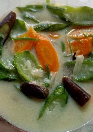 Foto resep Sayur lodeh simpel