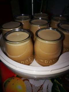 Una foto de Yogurt cremoso Dulce de leche