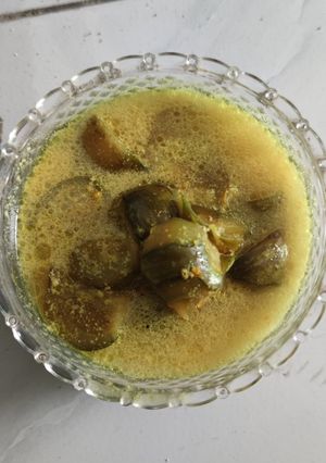 Foto resep Lodeh terong