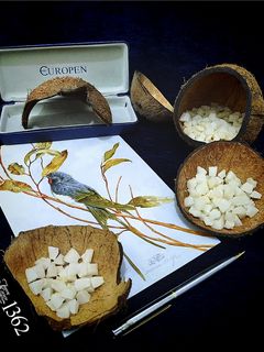 عکسی از دستور حبه نارگیل