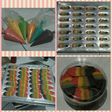 Lidah Kucing Rainbow