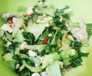 Fresh Membuat Pak Coy Cah Ayam Lezat Mantap Fresh Membuat Pak Coy Cah Ayam Lezat Mantap