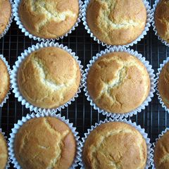 A picture of Basic Plain Cupcakes.