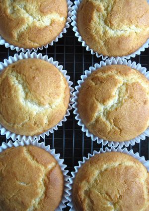 A picture of Basic Plain Cupcakes.