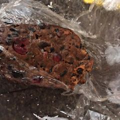 Fruit Cake A picture of Fruit Cake.