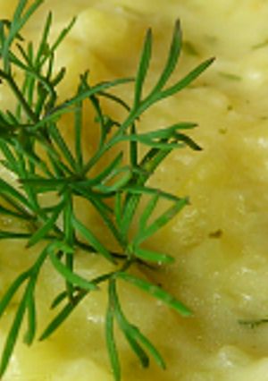 Tejszínes-kapros tökfőzelék recept fotója