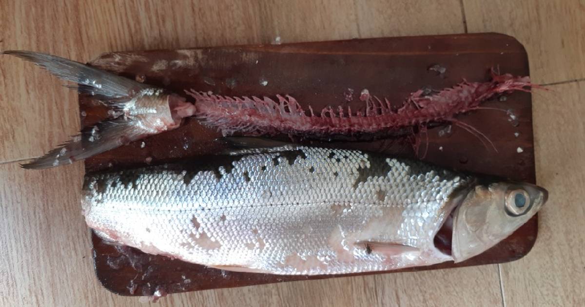 Resep Tips Mencabut Duri Bandeng Oleh Indah Riduwan Cookpad Resep Tips Mencabut Duri Bandeng Oleh Indah Riduwan Cookpad